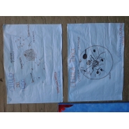 Proyecto de 6to. grado A y B: LA CÉLULA, ORIGEN DE LA VIDA